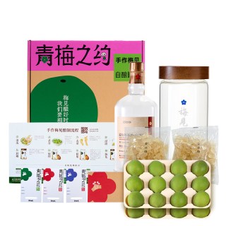梅见 青梅酒 自酿套装礼盒