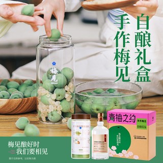 梅见 青梅酒 自酿套装礼盒