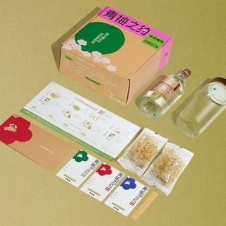 梅见 青梅酒 自酿套装礼盒