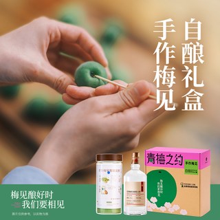 梅见 青梅酒 自酿套装礼盒