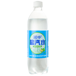 延中 咸青桔风味盐汽水600ml*20瓶/箱 补水补盐碳酸饮料盐汽水