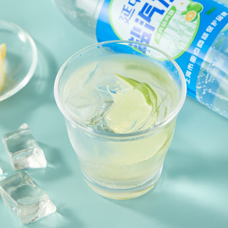 延中 咸青桔风味盐汽水 600ml*20瓶 碳酸饮料