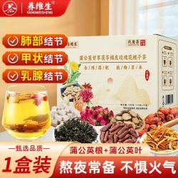 养维生 蒲公英甘草茯苓栀子茶 1盒