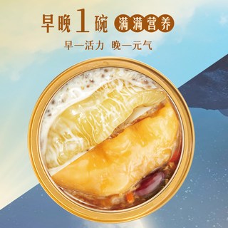 滋时 生椰燕麦花胶粥 即食滋补海鲜制品