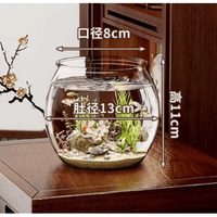 科万鸿 塑料一体成型 高透防摔 13*11cm 圆形小鱼缸