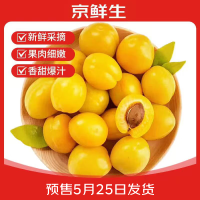 京鲜生 新疆小白杏 净重3斤装 单果12g+