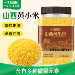 十月稻田 山西黄小米 800g 1罐