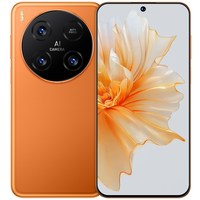 VIIPOO V300 Pro AI语音 智能手机