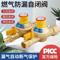 家用天然气管道燃气自闭阀天燃气阀自动切断阀