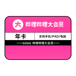 bilibili 哔哩哔哩 B站 bilibili大会员年卡+升级超级大会员2个月（电视端可用）