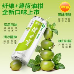 健力宝 纤维+油柑薄荷运动饮料