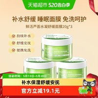 瑷露德玛 芦荟睡眠面膜懒人免洗涂抹式补水保湿舒缓夜间修复60g*1