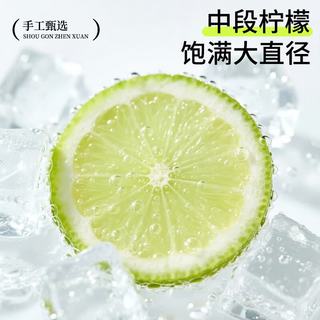 贡小主 冻干青柠檬片 独立包装 花果茶