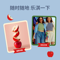 乐淇 新西兰小苹果 10粒礼盒装