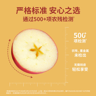  Rockit/乐淇 小苹果