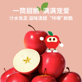  Rockit/乐淇 小苹果