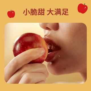  Rockit/乐淇 小苹果