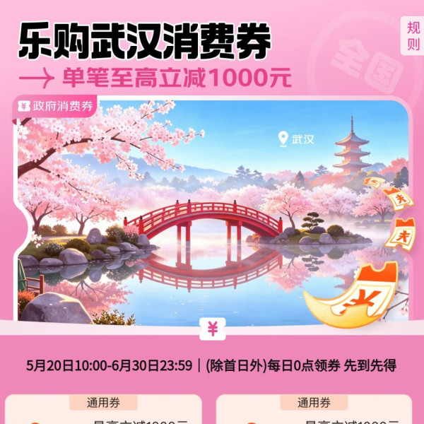 京东 乐购武汉消费券满1元8.5折/9折/95折（每日0点可领）