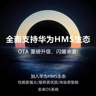  DIM/迪美 P70mini 5G全网通 智能手机