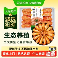 1米8 熟冻罗氏沼虾 500g 生鲜水产