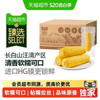 喵满分 黄糯玉米 200g*8棒