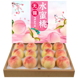 硕醴纪 正宗无锡水蜜桃子 甄选12个礼盒 净4-5斤