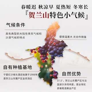 宁夏红 沙坡头酒庄蛇龙珠干红葡萄酒 14度 2018年 750ml