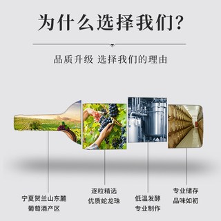 宁夏红 沙坡头酒庄蛇龙珠干红葡萄酒 14度 2018年 750ml