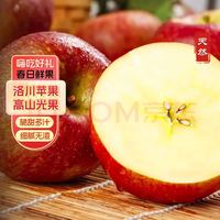 京觅 洛川苹果高原阳光果 净重4.5斤 单果200g+ 新鲜水果脆甜 源头直发