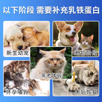 奶叽喵 乳铁蛋白胶囊 猫狗通用 1瓶