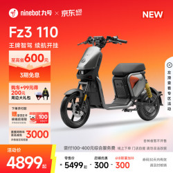九号 FZ3 110 新国标电动自行车 门店自提