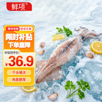 鲜项 鲜项鲜冻大鱿鱼2-4条净重1.2-1.3斤