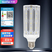 共泰 LED灯泡 玉米灯泡 22W白光 E27大螺口物业厂房大功率光源高亮灯泡