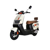 LUYUAN/绿源 超长续航 电动摩托车