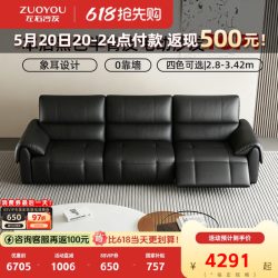 左右家私 半青皮电动沙发DZY6080