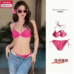 邦帛世 比基尼泳衣女性感辣妹粉色大小胸聚拢三点式沙滩度假ins风泡温泉 比基尼两件套 均 码