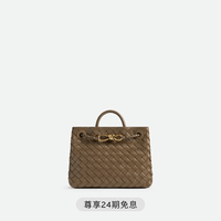 BOTTEGA VENETA 女士ANDIAMO小号手提包bv包 松果棕 均码