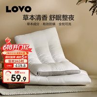 LOVO 防螨决明子草本对枕 45cm*70cm 高约8cm