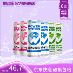 POWER STATION 鸡尾酒苏打酒 330ml 混合口味6罐（3个口味）