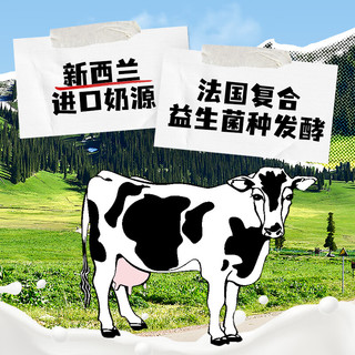 界界乐 乐乐乳酸菌乳品 100ml*4瓶