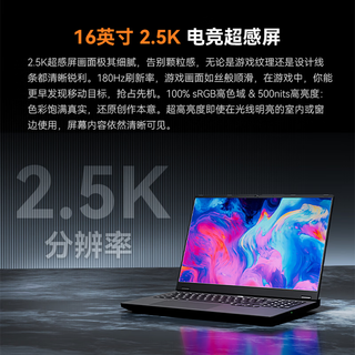 玄派 METAMECH16 锐龙AI Max+395 128GB+2TB 16英寸2.5K 180Hz游戏本