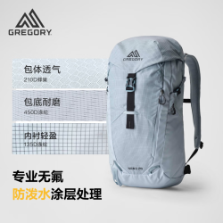 格里高利 【户外机能风】蜂鸟NANO徒步登山包 28L 43J