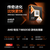  AMD 处理器