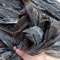嘟嘟娃 福建霞浦干海带 500g