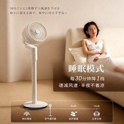 Panasonic 新品电风扇落地扇轻音家用卧室台立两用定时节能循环扇CA2101