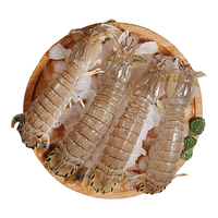 天纵良材 鲜活熟冻 皮皮虾
