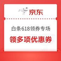 京东 白条618领券专场 领满500-50元 1306租车分期券；满10-3/300-10元猫眼支付券；5元国网/易捷支付券等