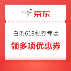 京东 白条618领券专场 领满500-50元 1306租车分期券；满10-3/300-10元猫眼支付券；5元国网/易捷支付券等