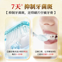  PZH/片仔癀 清新口腔 牙膏套装 【组合装】经典原香100g+臻选留兰香100g