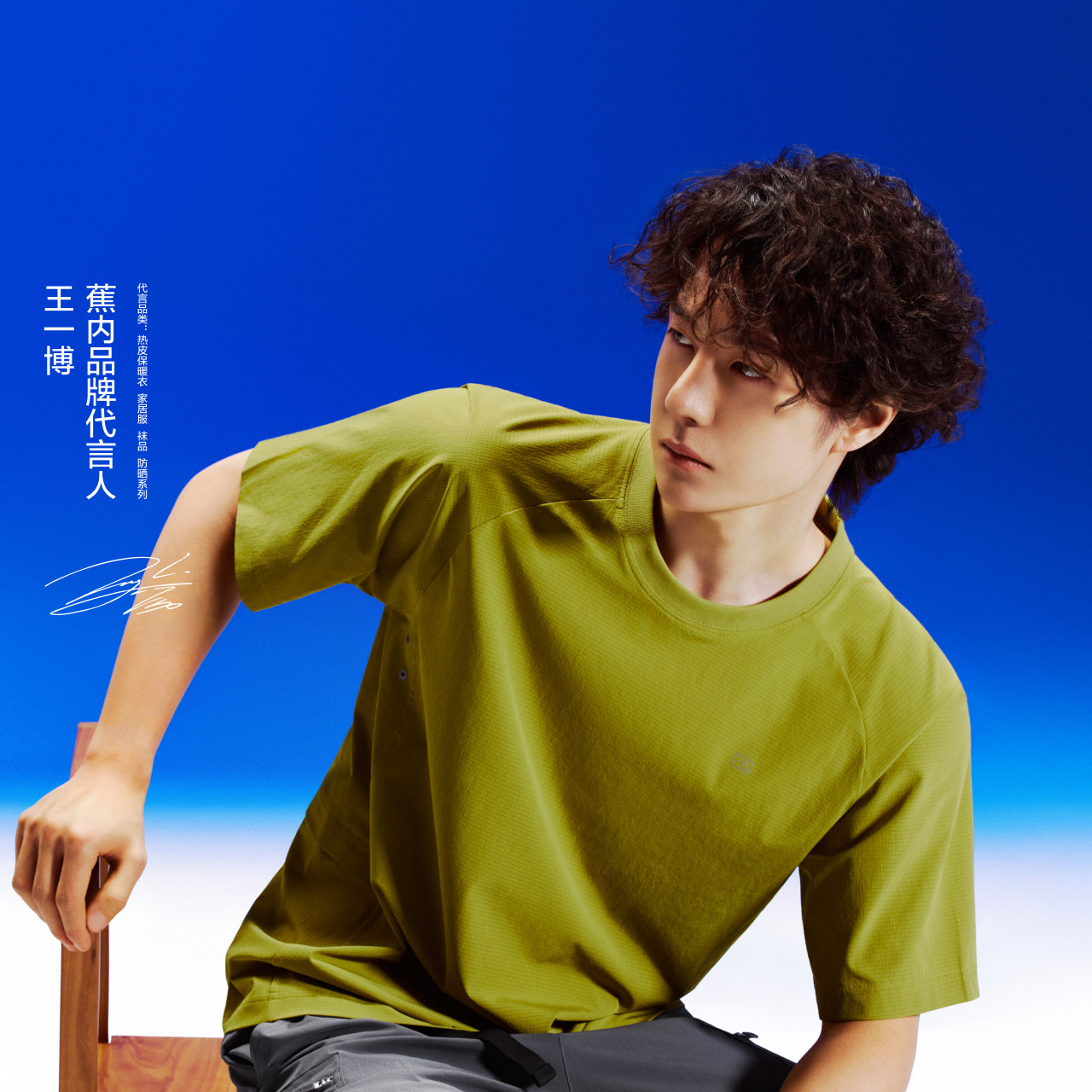 苍叶黄
